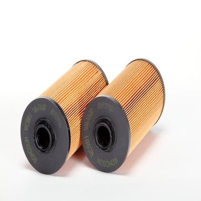 RONGSUN filtre RC981 pour le 60151839
